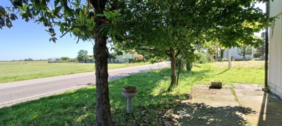 7 rooms House in Lugo, Italy No. 299523 37