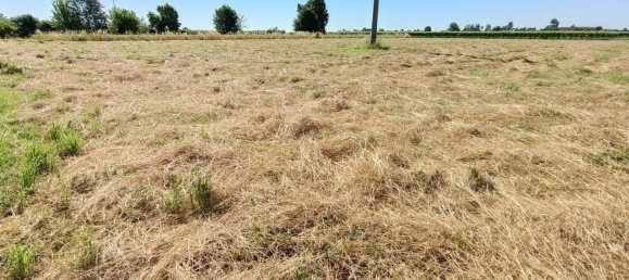 7 rooms House in Lugo, Italy No. 299523 40