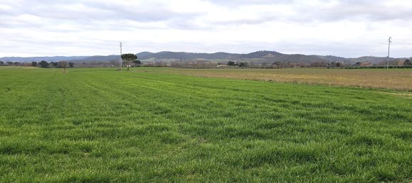 7 rooms Villa in Grosseto, Italy No. 103356 2