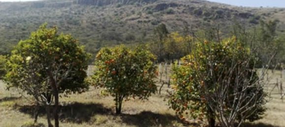 2 bedrooms House in Guanajuato, Mexico No. 153584 2