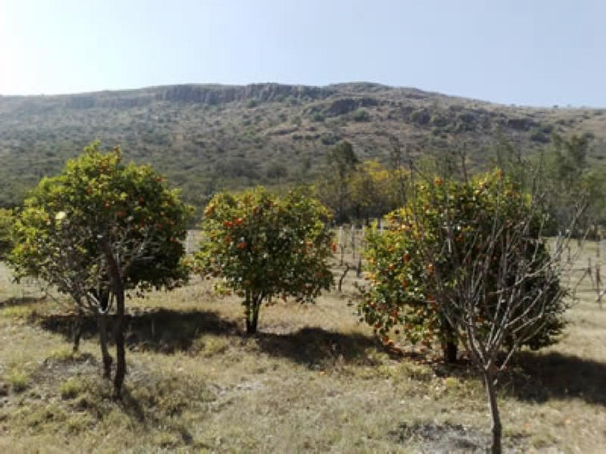 2 bedrooms House in Guanajuato, Mexico No. 153584