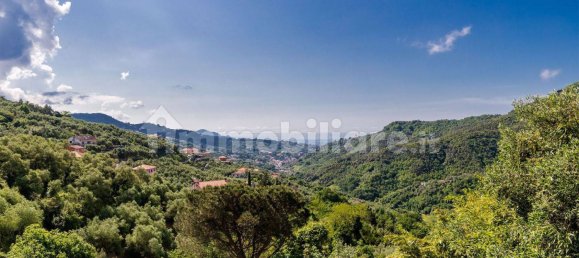 4 bedrooms Villa in Leivi, Italy No. 266676 42