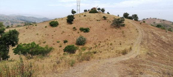 56100m² Land in Silves, Portugal No. 38220 3