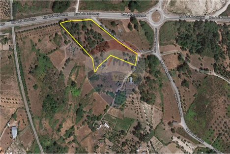12534m² Land in Senhorim, Portugal No. 73054
