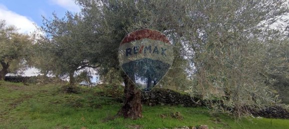 1-Zimmer Grundstück in Ragalna, Italy, Nr. 9169 9