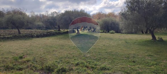 1-Zimmer Grundstück in Ragalna, Italy, Nr. 9169 3