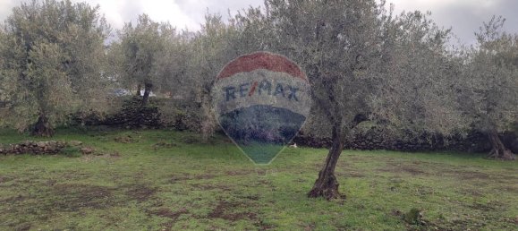 1-Zimmer Grundstück in Ragalna, Italy, Nr. 9169 11