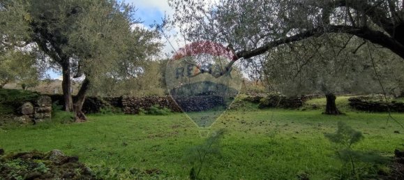 1-Zimmer Grundstück in Ragalna, Italy, Nr. 9169 6