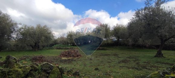 1-Zimmer Grundstück in Ragalna, Italy, Nr. 9169 15