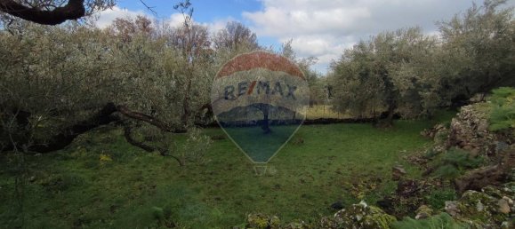 1-Zimmer Grundstück in Ragalna, Italy, Nr. 9169 5