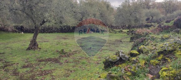 1-Zimmer Grundstück in Ragalna, Italy, Nr. 9169 13