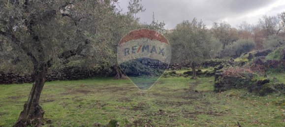 1-Zimmer Grundstück in Ragalna, Italy, Nr. 9169 10