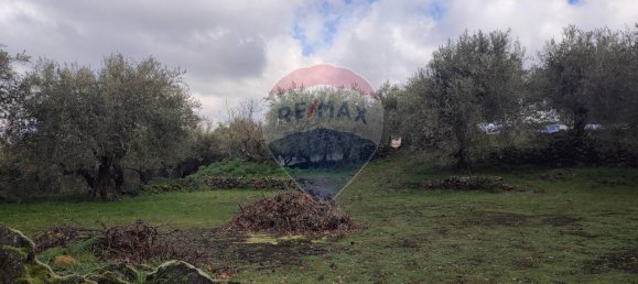 1-Zimmer Grundstück in Ragalna, Italy, Nr. 9169 14