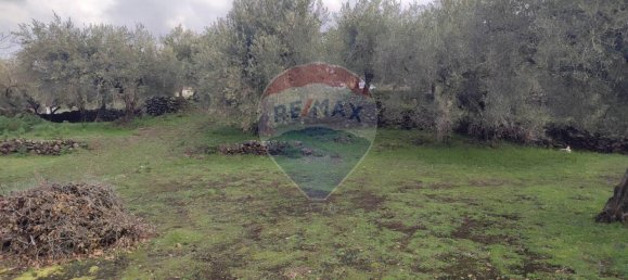 1-Zimmer Grundstück in Ragalna, Italy, Nr. 9169 12