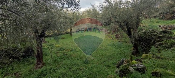 1-Zimmer Grundstück in Ragalna, Italy, Nr. 9169 4