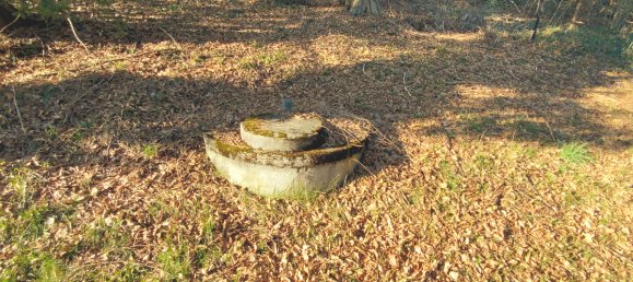 5 rooms House in Keutschach am See, Austria No. 148025 45