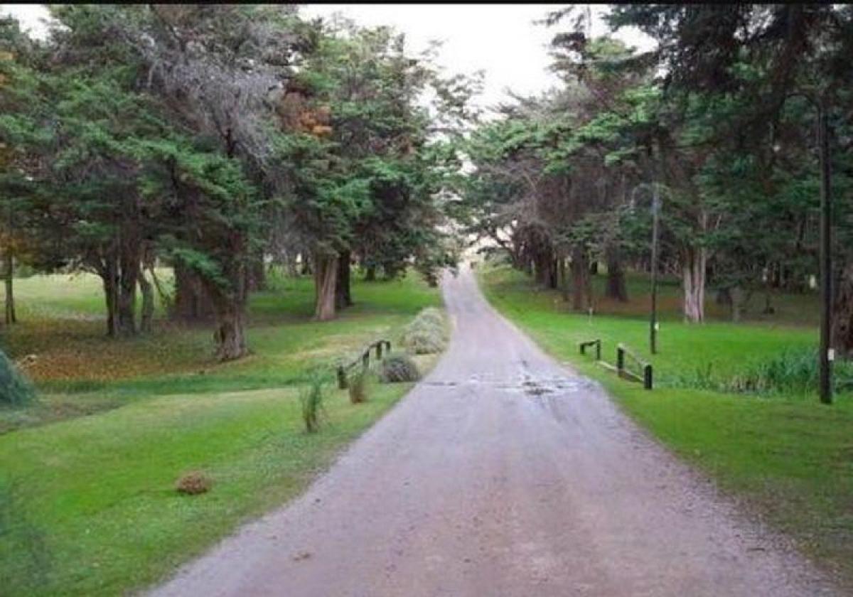 Grundstück in Mar del Plata, Argentina, Nr. 114621