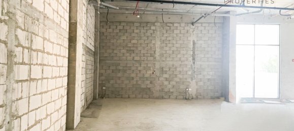 Laden in Arjan, UAE 246.2m², Nr. 54748 3