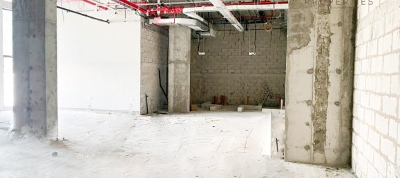 Laden in Arjan, UAE 246.2m², Nr. 54748 2
