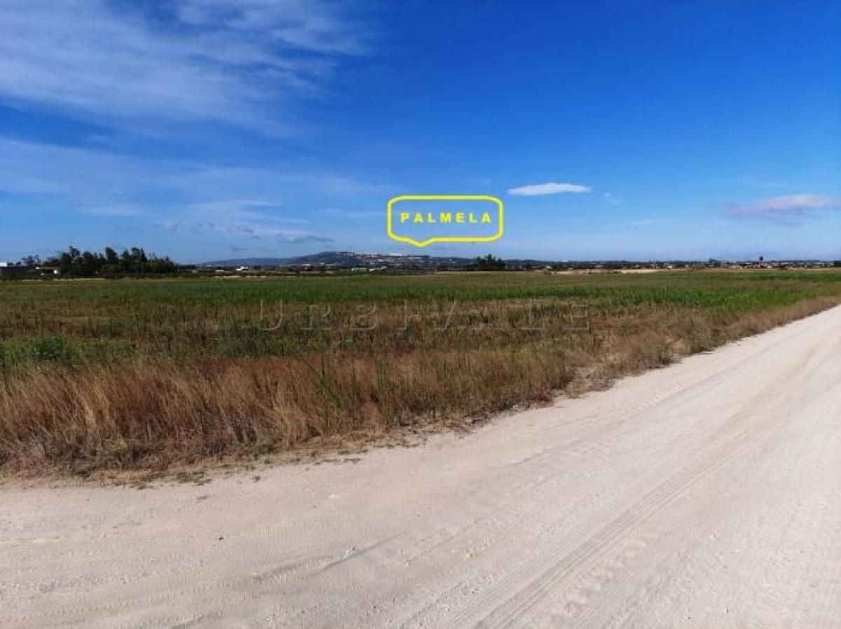 Земельный участок в Палмела, Португалия № 8488