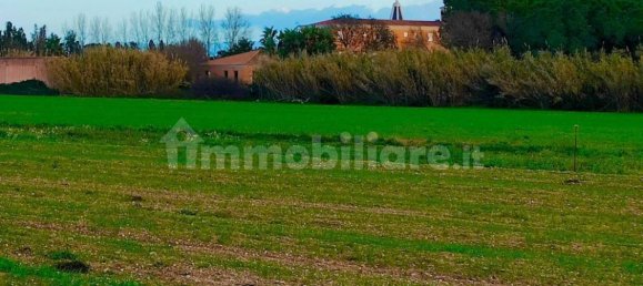 Terrain à Cabras, Italy 10000m² No. 291373 8
