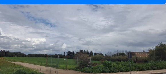 Terrain à Cabras, Italy 10000m² No. 291373 6