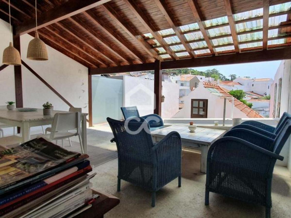 استوديو في Palmela, Portugal رقم 6464