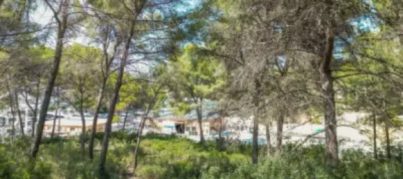  Land in Costa De La Calma, Spain No. 170067 10