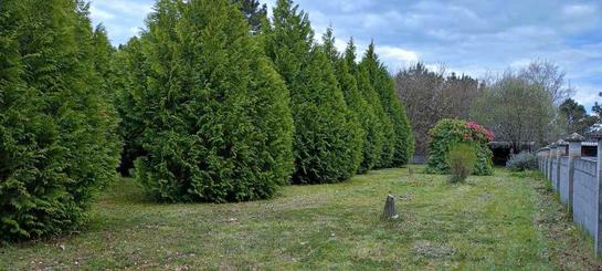 Terreno em Lugo, Spain 3100 m² N.º 197345