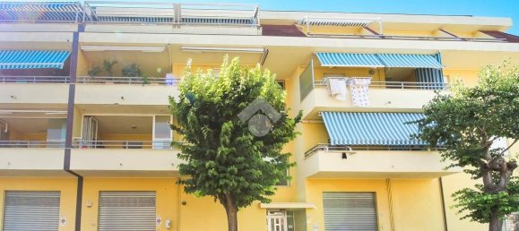 1 bedroom Apartment in Martinsicuro, Italy No. 301415 16