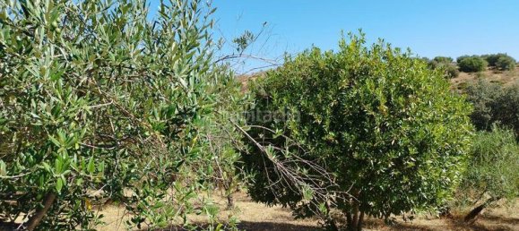 5 غرف نوم منزل في Andalusia, Spain رقم 186767 32