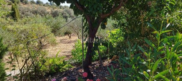 5 غرف نوم منزل في Andalusia, Spain رقم 186767 3