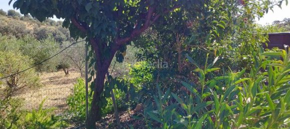 5 غرف نوم منزل في Andalusia, Spain رقم 186767 24