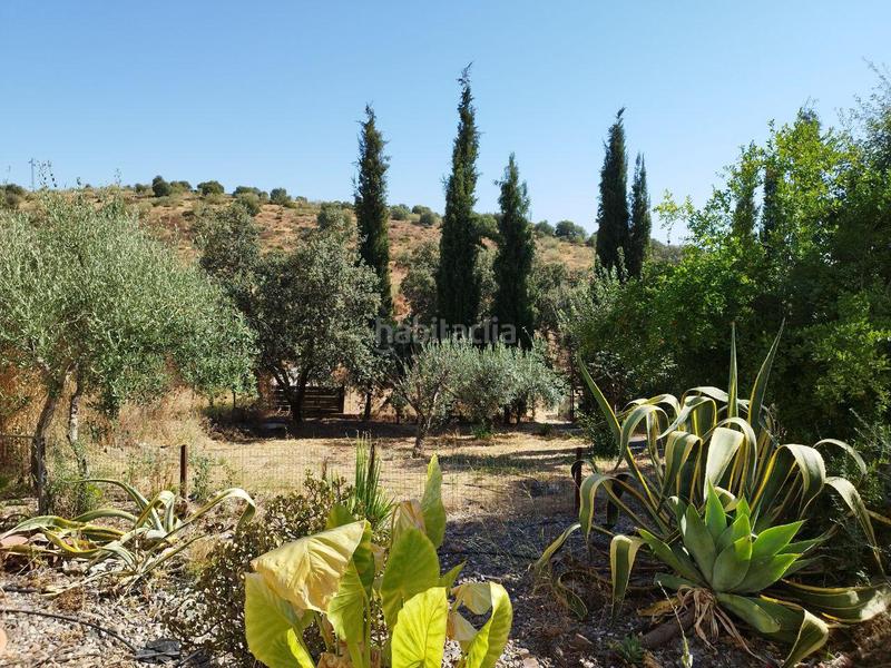 5 غرف نوم منزل في Andalusia, Spain رقم 186767