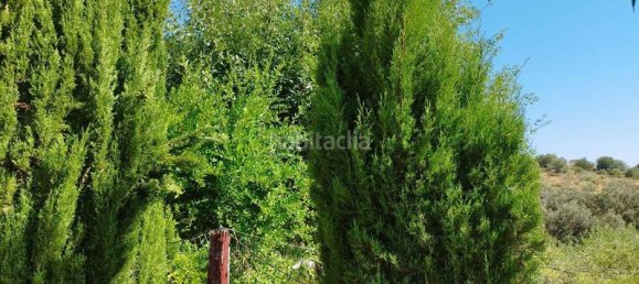 5 غرف نوم منزل في Andalusia, Spain رقم 186767 31