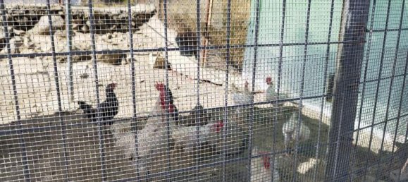 5 غرف نوم منزل في Andalusia, Spain رقم 186767 20