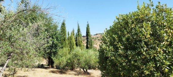 5 غرف نوم منزل في Andalusia, Spain رقم 186767 28