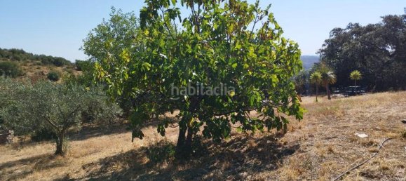 5 غرف نوم منزل في Andalusia, Spain رقم 186767 27