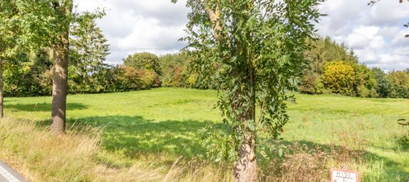 Terrain à Schleswig-Holstein, Germany No. 24366 3