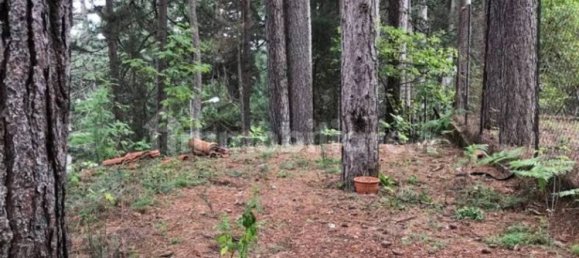 Villa de 7 dormitorios en Taverna, Italy No. 344263 18