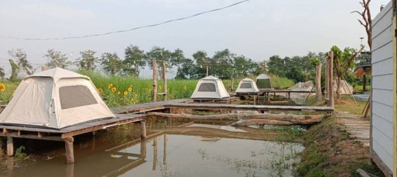 14 chambres Café / restaurant à Chiang Rai, Thailand No. 59498 2