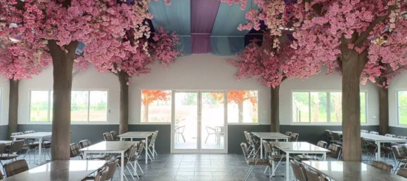 14 chambres Café / restaurant à Chiang Rai, Thailand No. 59498 8