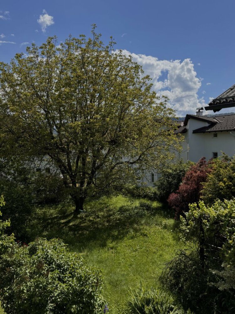  قطعة أرض في Hallein, Austria 125متر مربع رقم 128402