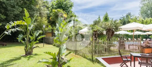 28 bedrooms Villa in Massa, Italy No. 339492 5