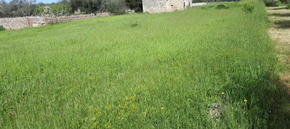 Grundstück in Corsano, Italy 1800m², Nr. 72544 5