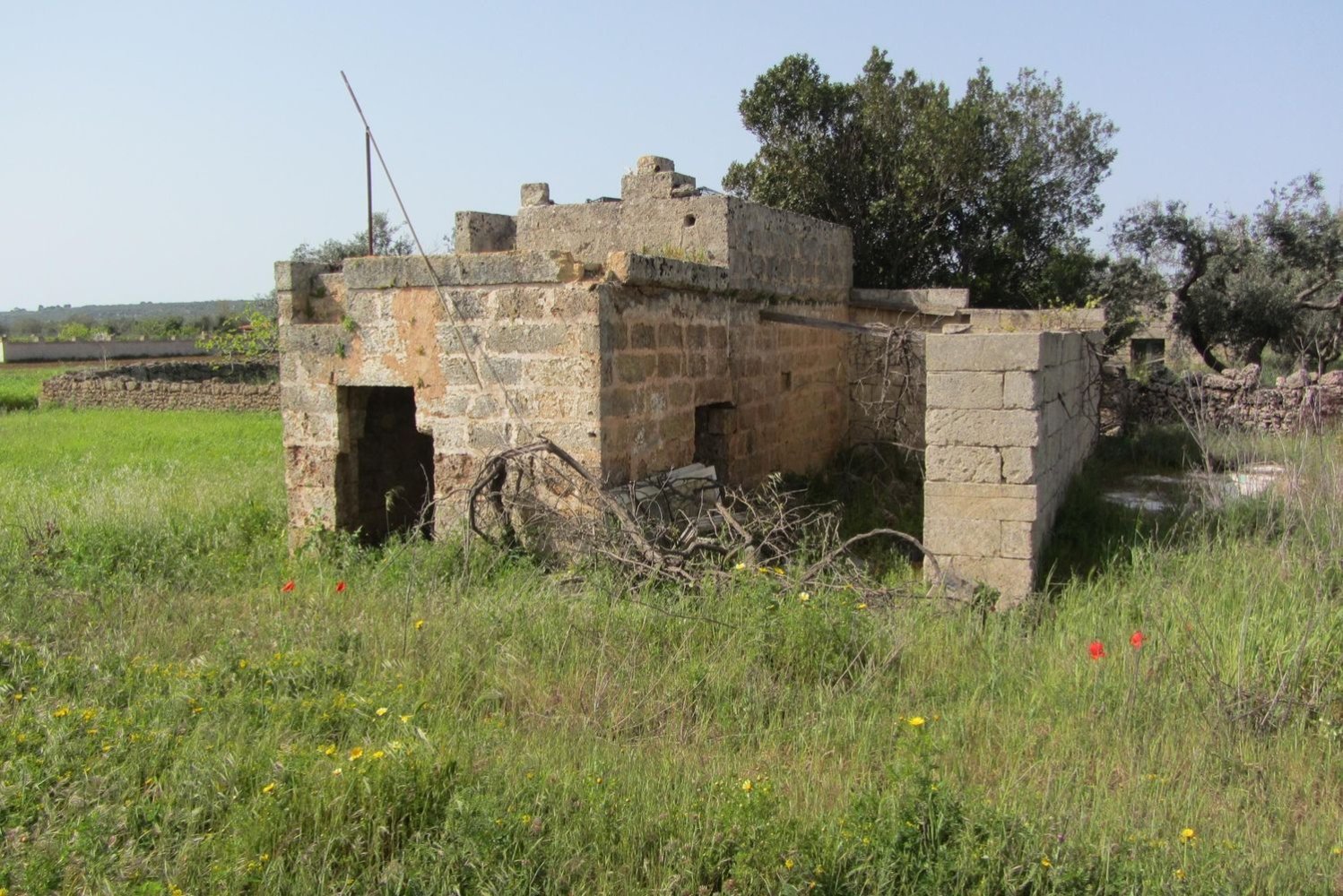 Grundstück in Corsano, Italy 1800m², Nr. 72544