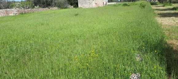 Grundstück in Corsano, Italy 1800m², Nr. 72544 4