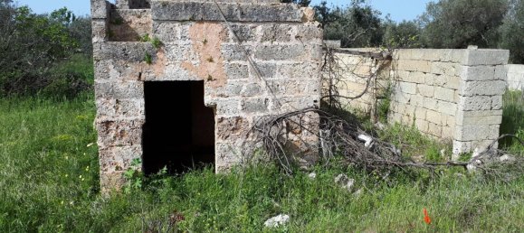 Grundstück in Corsano, Italy 1800m², Nr. 72544 14