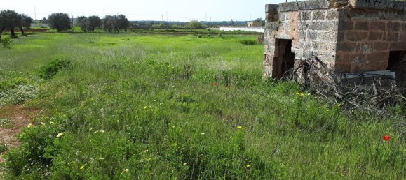 Grundstück in Corsano, Italy 1800m², Nr. 72544 9