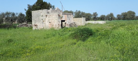 Grundstück in Corsano, Italy 1800m², Nr. 72544 6